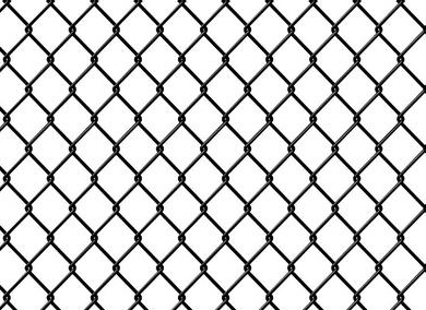 FFzW(wng)